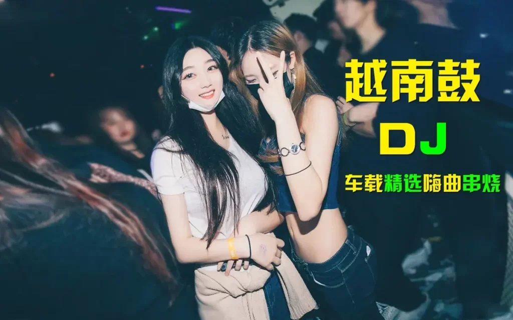 车载音乐打包下载-车载音乐1000首dj歌曲大全免费下载-车载音乐下载