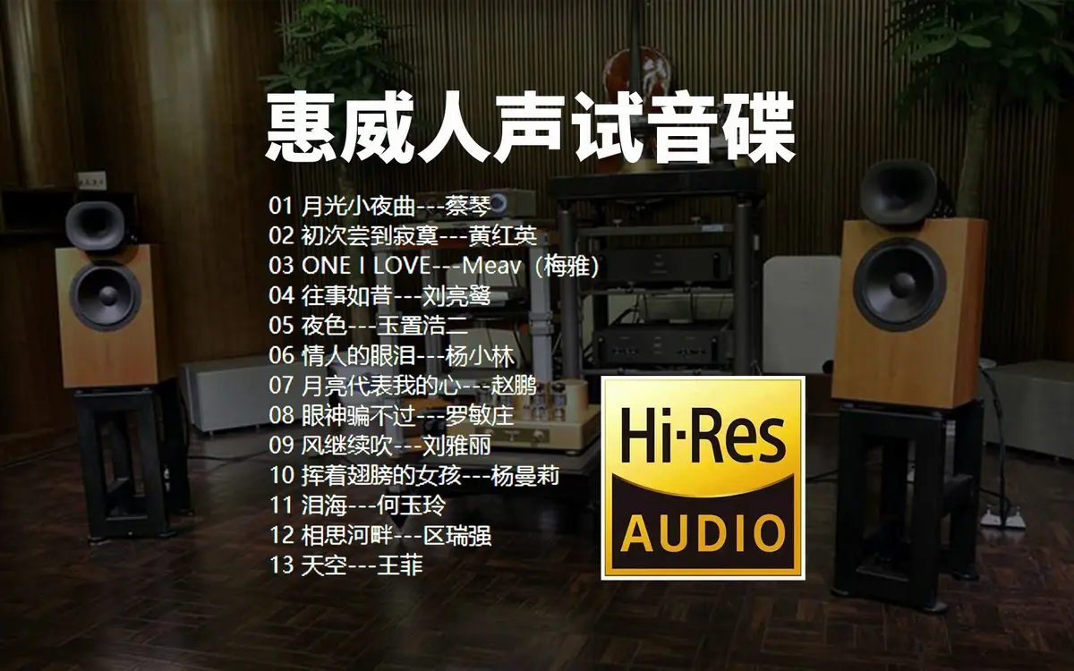 发烧人声歌曲下载-黑胶顶级HIFI人声试音碟车载无损音乐打包下载