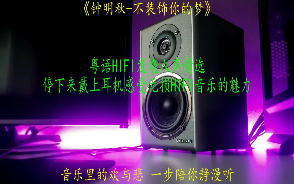 车载高音质发烧女声歌曲合集-顶级发烧人声试音碟HiFi无损音乐下载