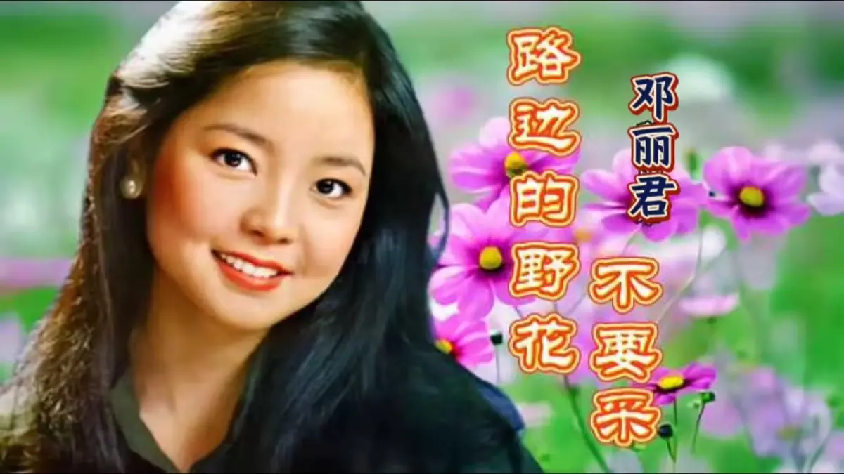 邓丽君歌曲mp3下载-邓丽君所有专辑歌曲合集网盘资源下载